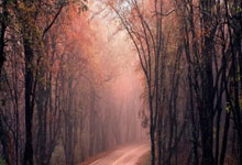 海星体育：国际联年终排名 国位居第90创近10年新低.