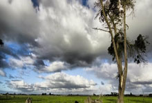 海星体育：英足总杯第四轮 切尔西不敌布赖顿出局 纽卡斯尔逆转伯明翰过关.