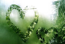 海星体育：[德甲]“领头羊”勒沃库森客胜弗赖堡.