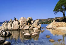 曼城前锋哈兰德在对曼联比赛中表现平平，数据为零.